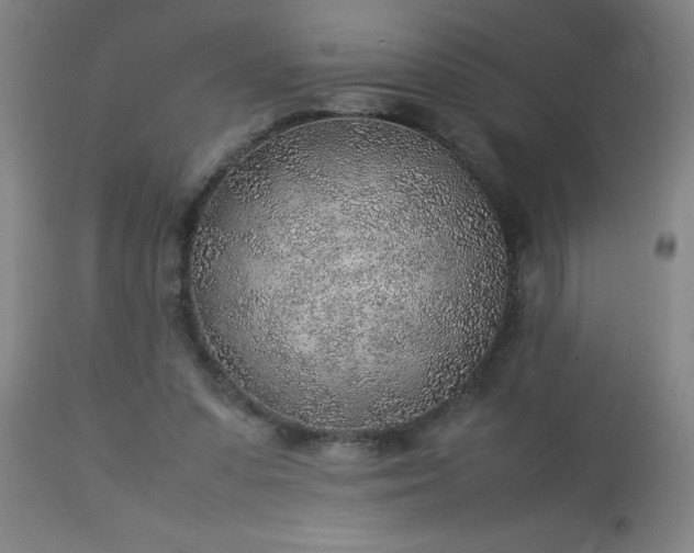 X0000113640303200910021923