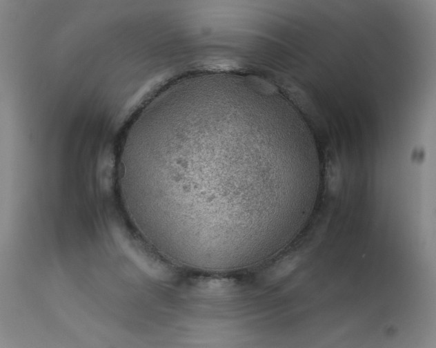 X0000113640304200910021923