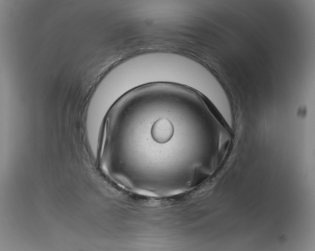 X0000113640305200910021923