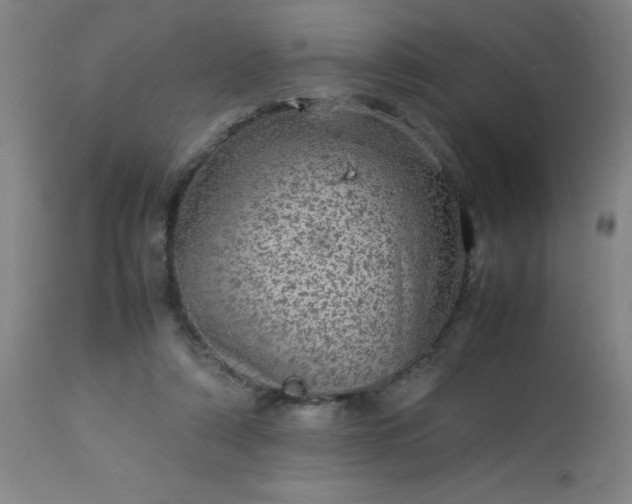 X0000113640306200910021923