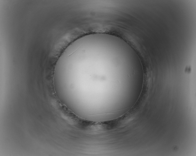 X0000113640307200910021923