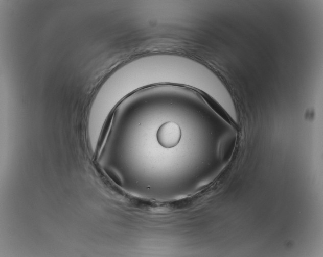 X0000113640309200910021923