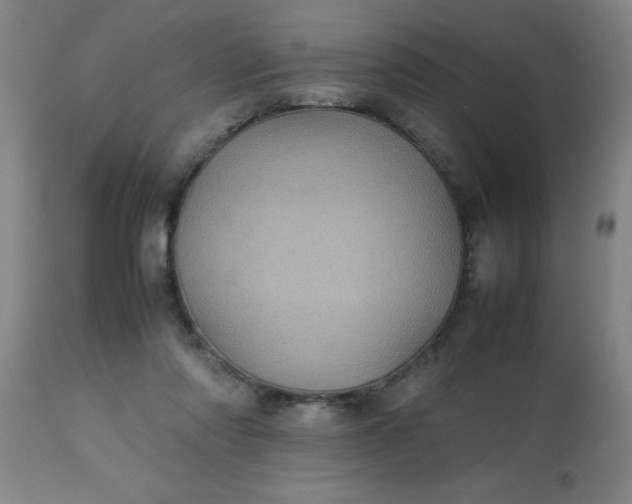 X0000113640310200910021923