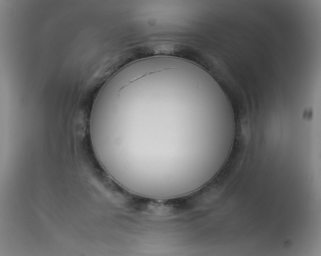 X0000113640311200910021923