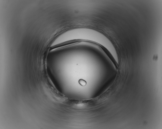 X0000113640312200910021923