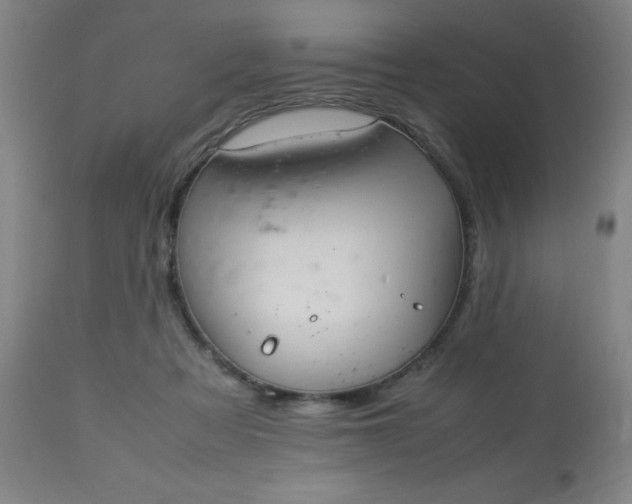 X0000113640313200910021923