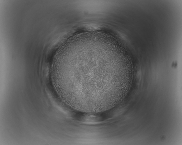 X0000113640315200910021923