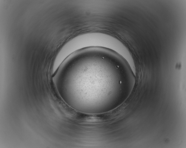 X0000113640316200910021923