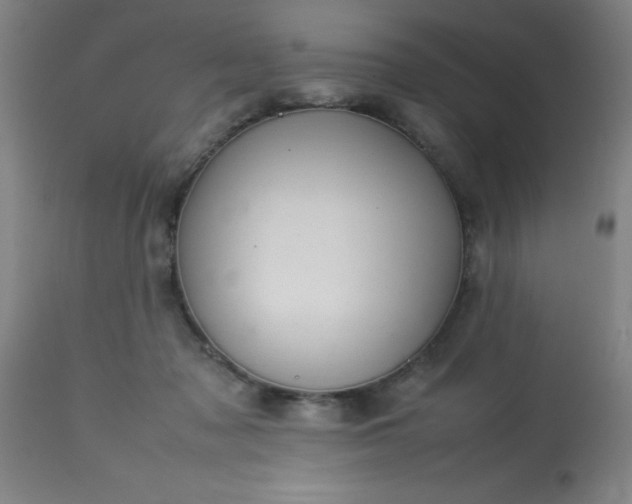 X0000113640317200910021923