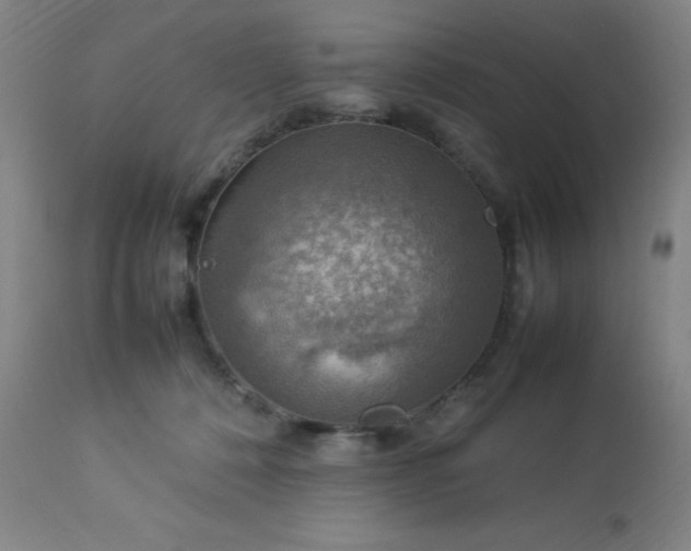 X0000113640320200910021923