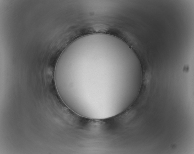 X0000113640321200910021923