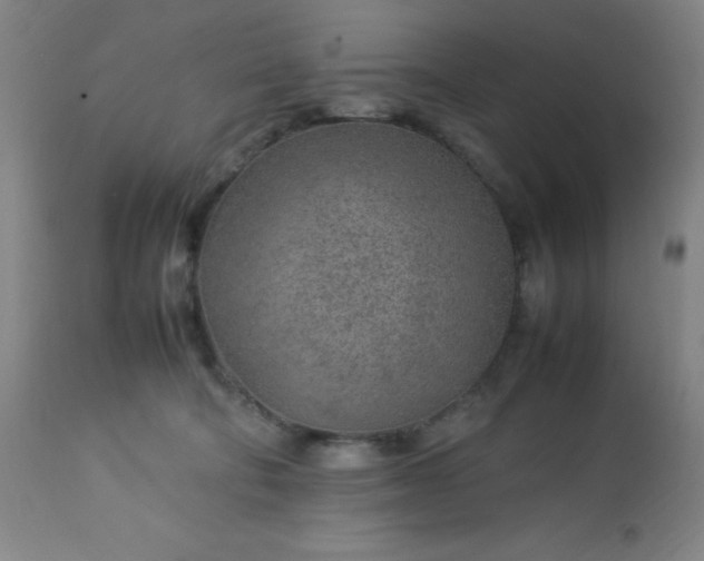 X0000113640322200910021923