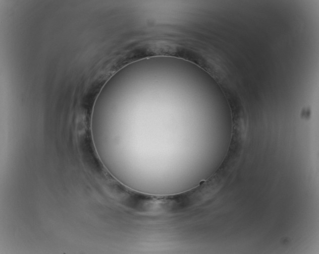 X0000113640323200910021923