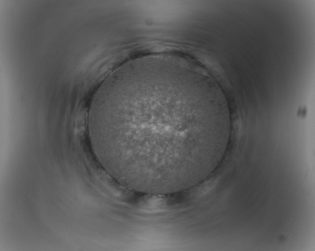 X0000113640325200910021923