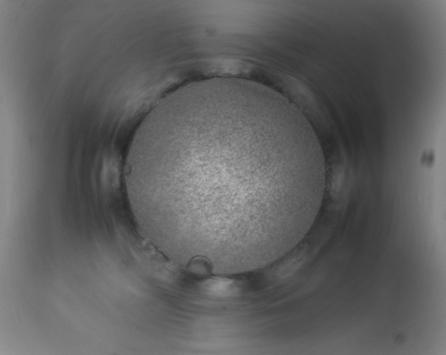 X0000113640326200910021923