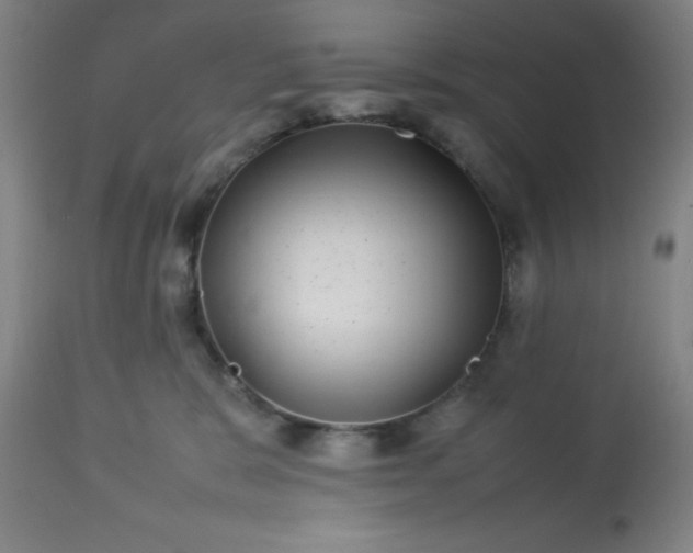 X0000113640327200910021923