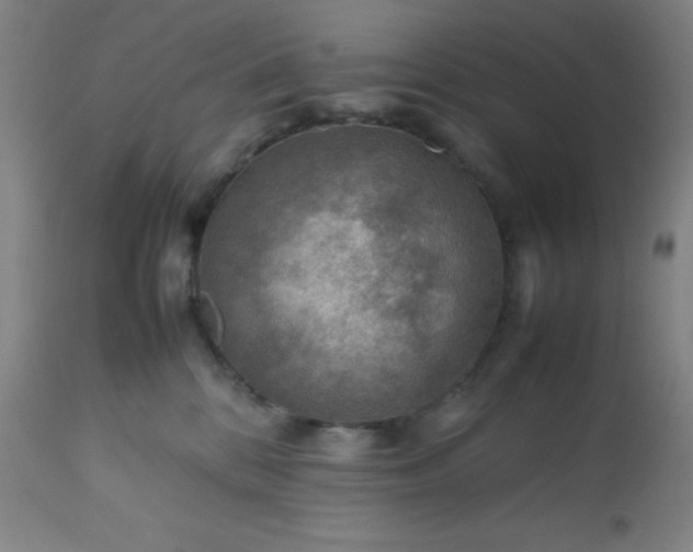 X0000113640328200910021922