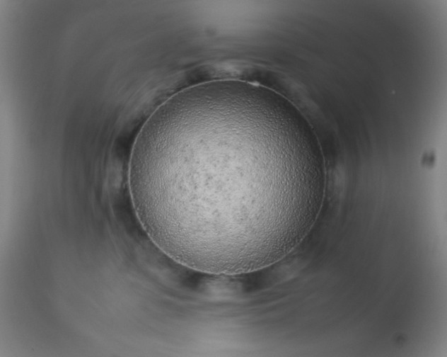 X0000113640331200910021922