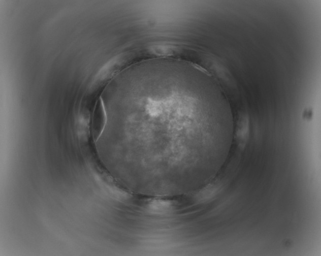 X0000113640332200910021922