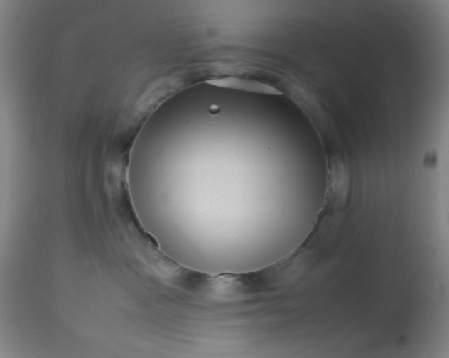 X0000113640333200910021922