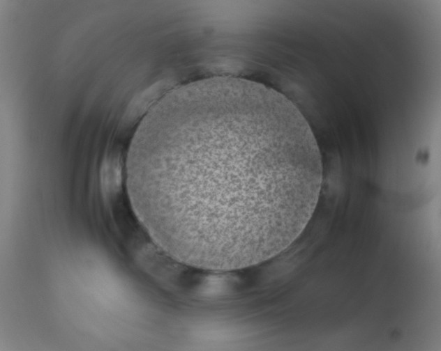 X0000113640334200910021922