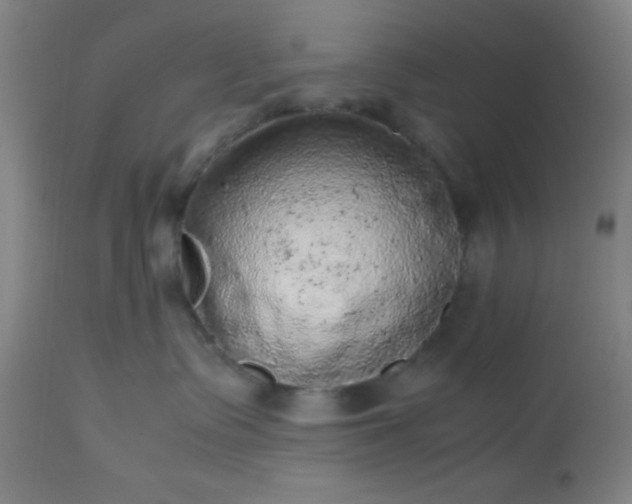 X0000113640335200910021922