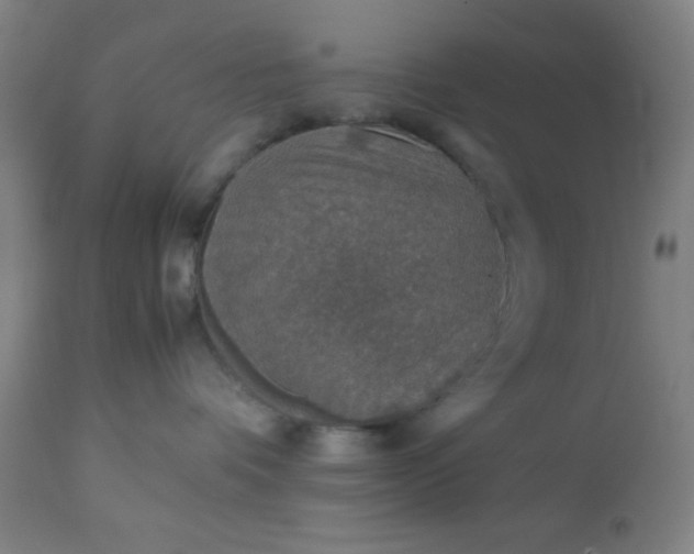 X0000113640336200910021922