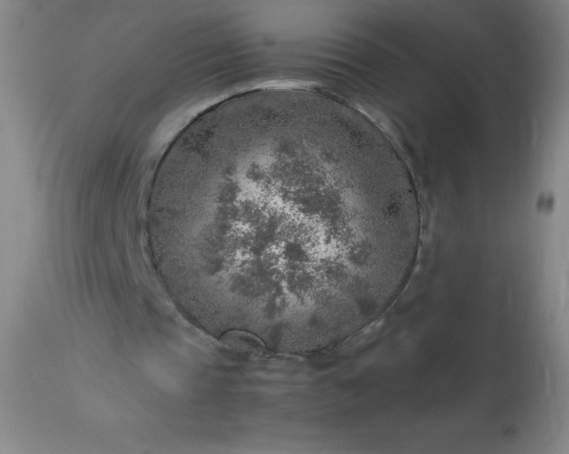 X0000113640337200910021922