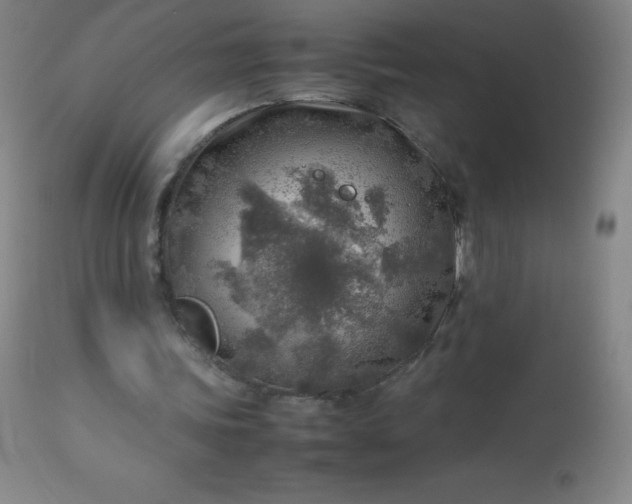 X0000113640339200910021922