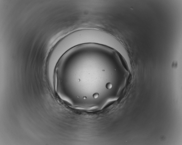 X0000113640340200910021922