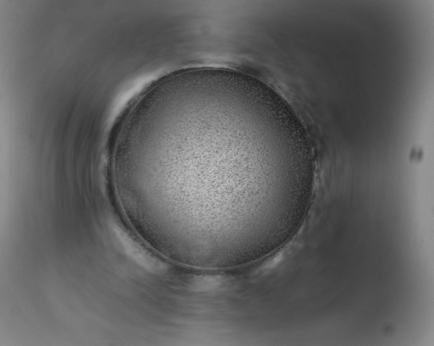 X0000113640342200910021922