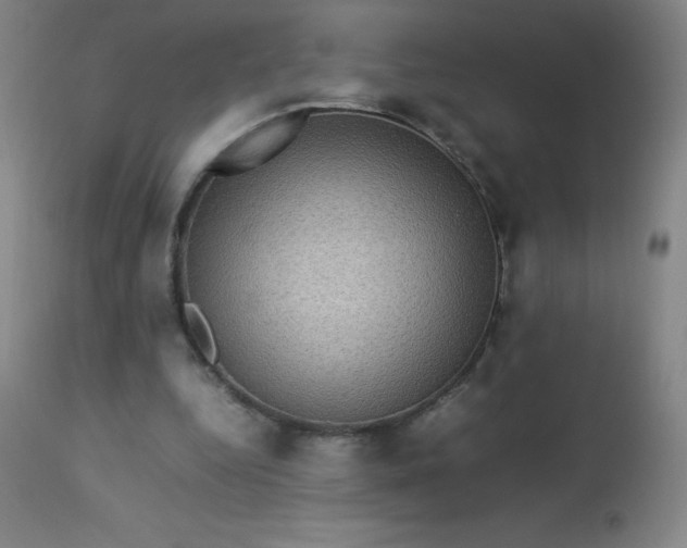 X0000113640344200910021922