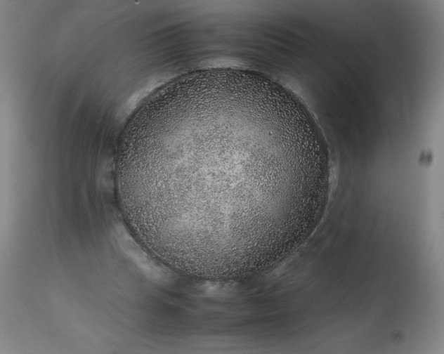 X0000113640345200910021922