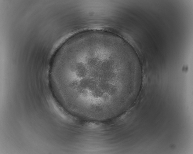 X0000113640346200910021922