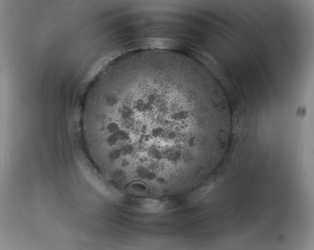 X0000113640347200910021922