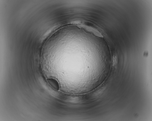 X0000113640349200910021922