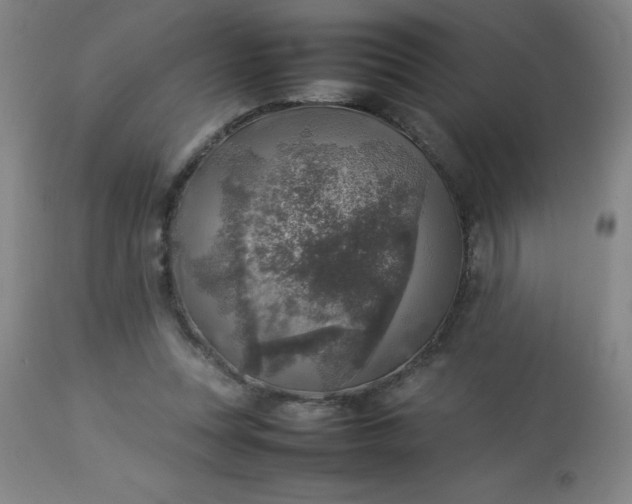 X0000113640351200910021922