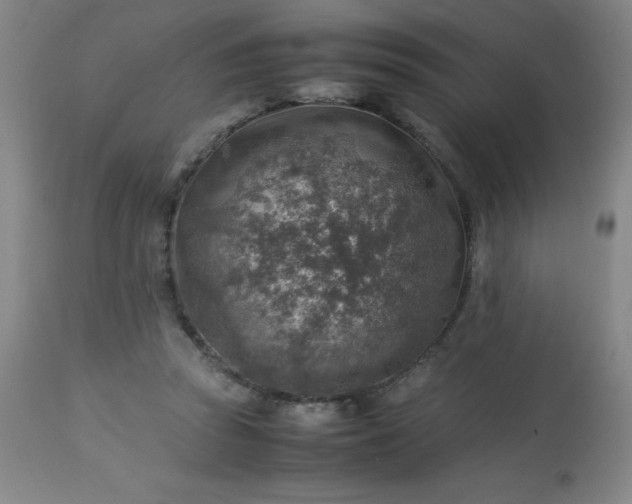 X0000113640353200910021922