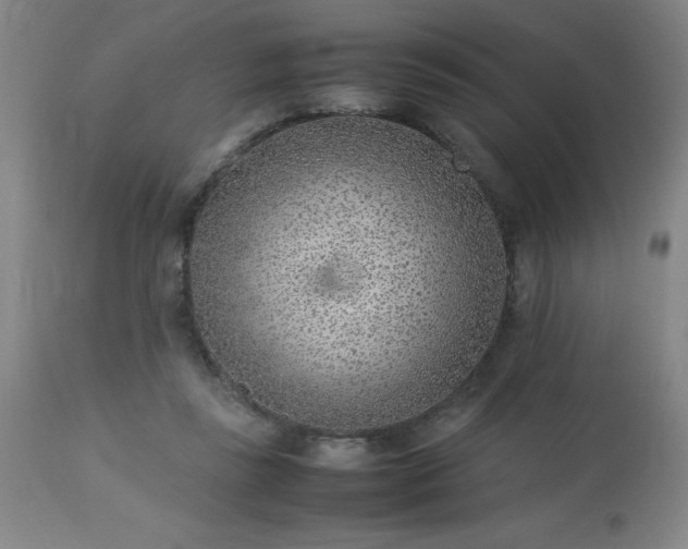 X0000113640355200910021922