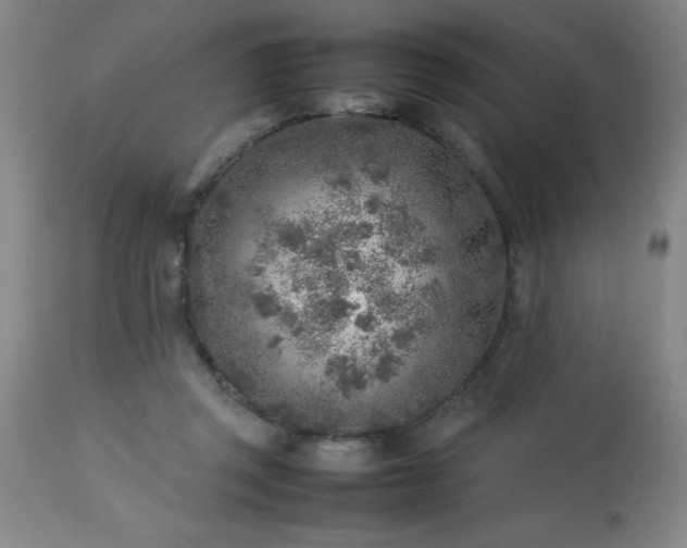 X0000113640357200910021922