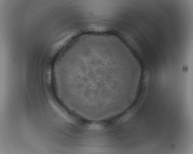 X0000113640358200910021922