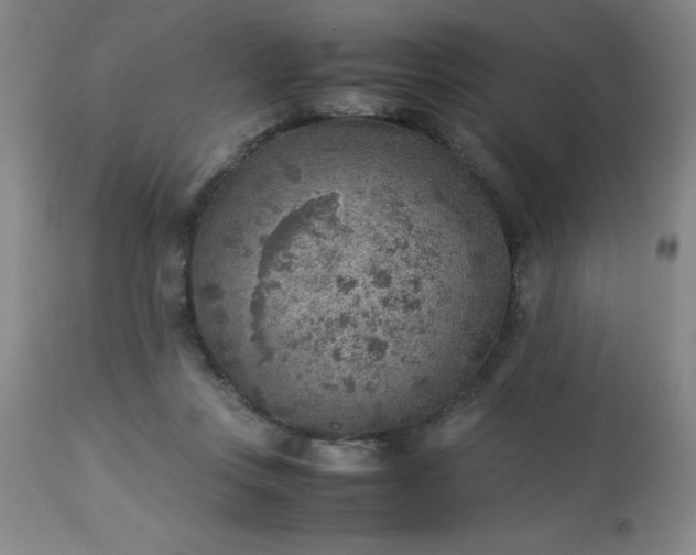 X0000113640359200910021922