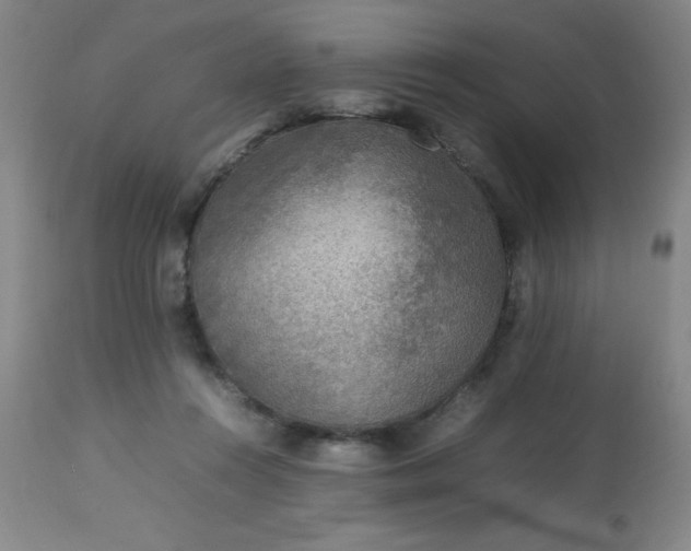 X0000113640360200910021922