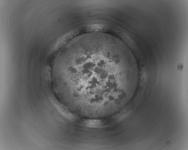 X0000113640361200910021922