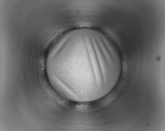 X0000113640362200910021922