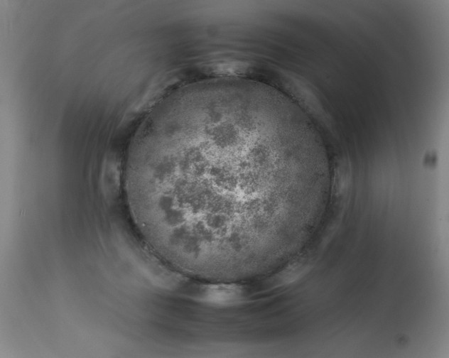 X0000113640363200910021922