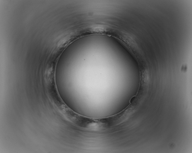 X0000113640364200910021922