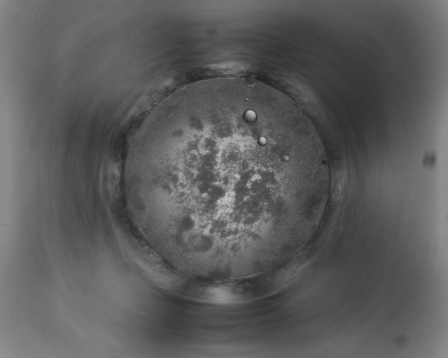 X0000113640365200910021922