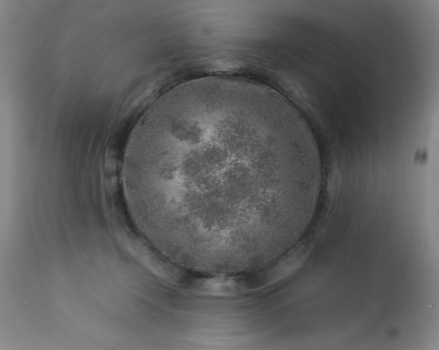 X0000113640366200910021922