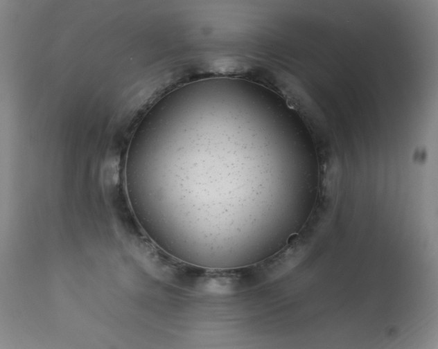 X0000113640368200910021922